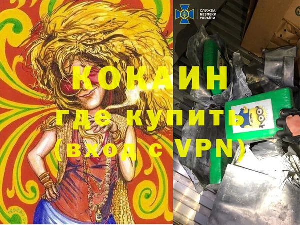 гашик Покров