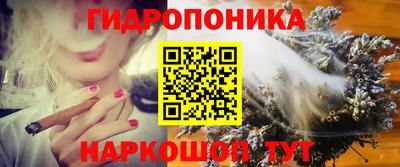 прущий лед Кингисепп